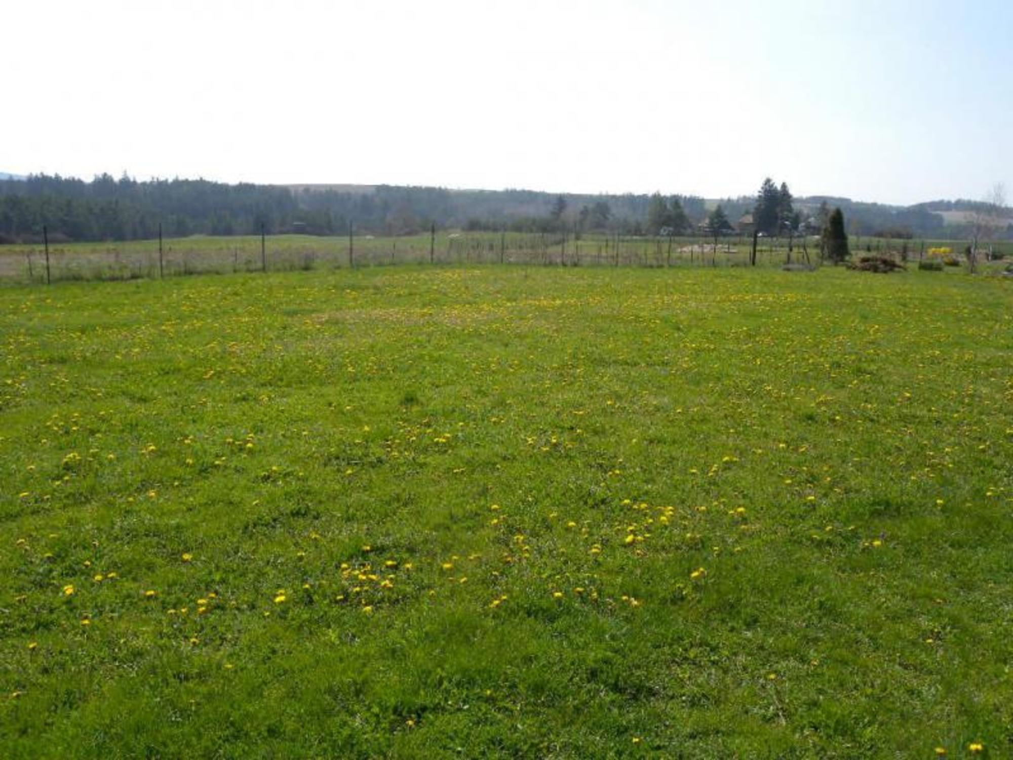 Купить квартиру за 5 000 000 рублей на Ленина улица, д.55