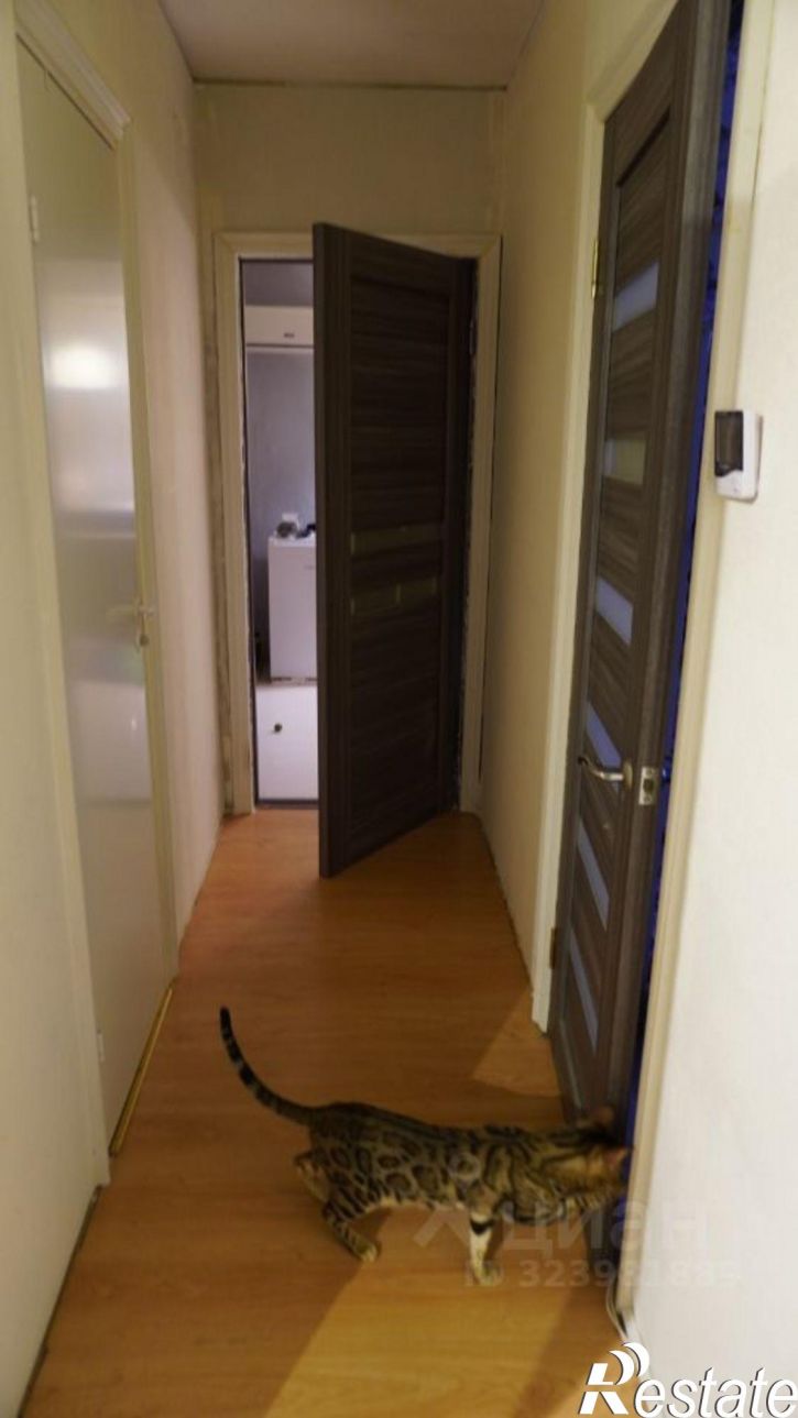 2-комн квартира улица Яблочкова, 36,  д. 36