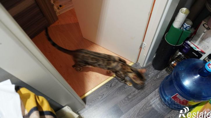 2-комн квартира улица Яблочкова, 36,  д. 36