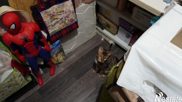 2-комн квартира улица Яблочкова, 36,  д. 36