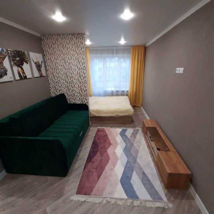 1-комн квартира Вячеслава Мейера ул, 5