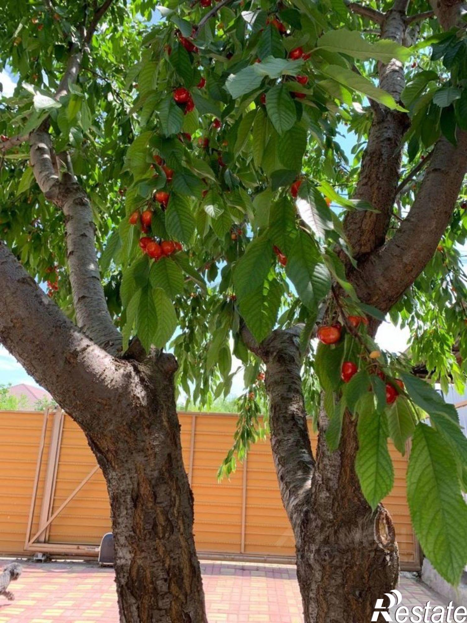 Купить дачу, дом, коттедж за 4 700 000 рублей на 3-й переулок Соколова, 14