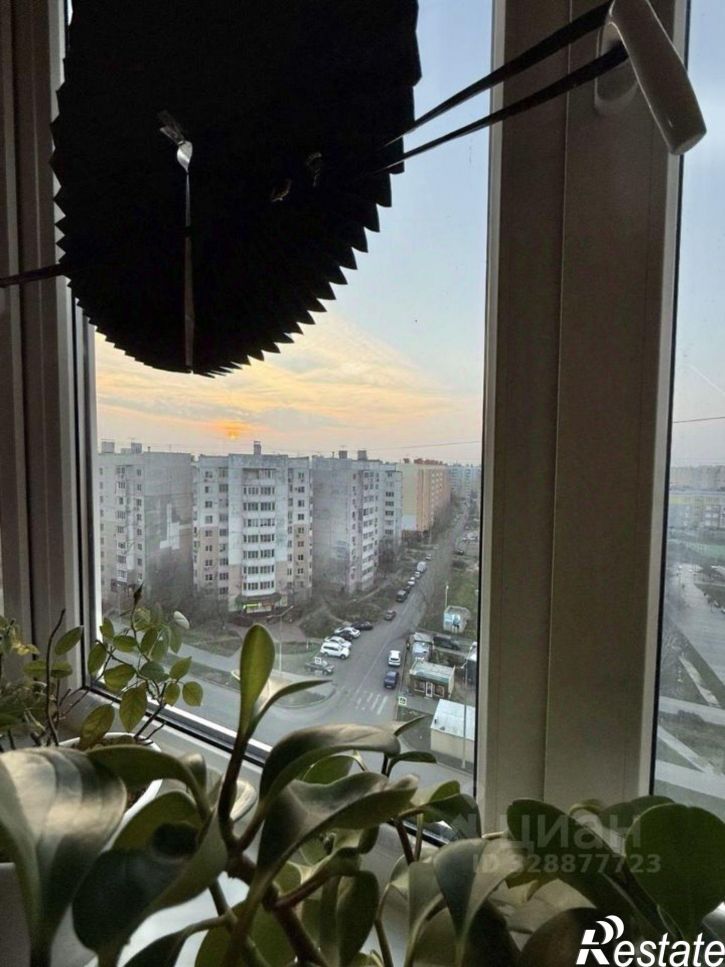 2-комн квартира улица Бориса Алексеева, 65 к2,  д. 65 к2