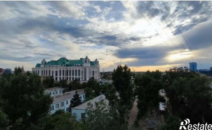 3-комн квартира ул Савушкина, 46,  д. 46