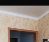 коттедж 110 кв м ул Лемисова, 93
